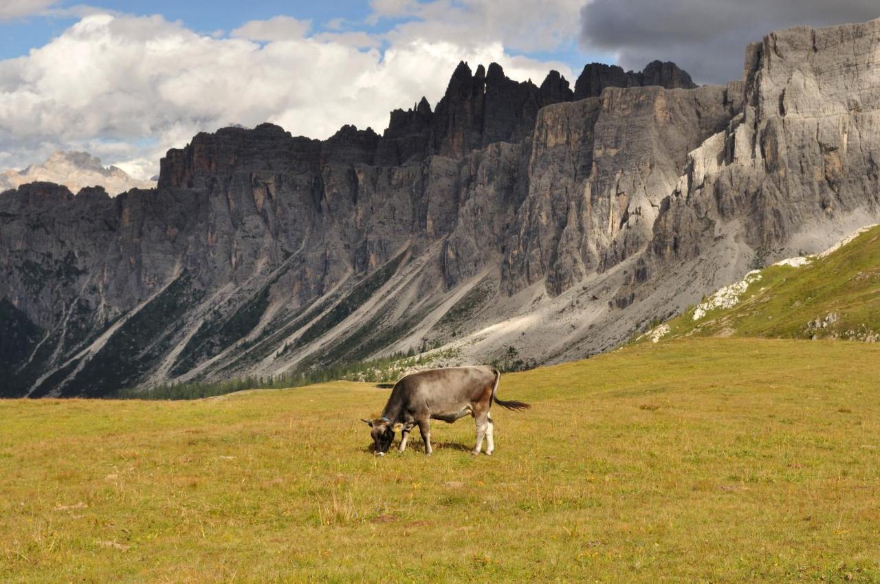 Appartamenti Codan San Vito di Cadore Exterior foto