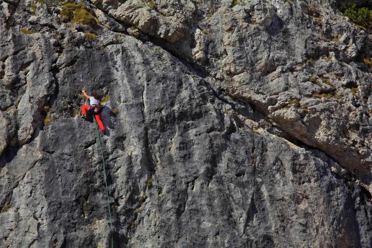 Appartamenti Codan San Vito di Cadore Exterior foto