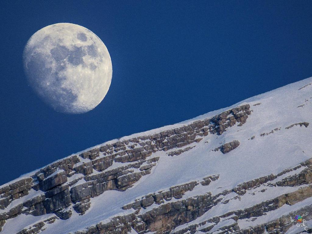 Appartamenti Codan San Vito di Cadore Exterior foto